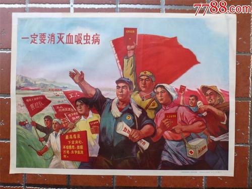 学信网教育部学历证书电子注册备案表没有二维码怎么办